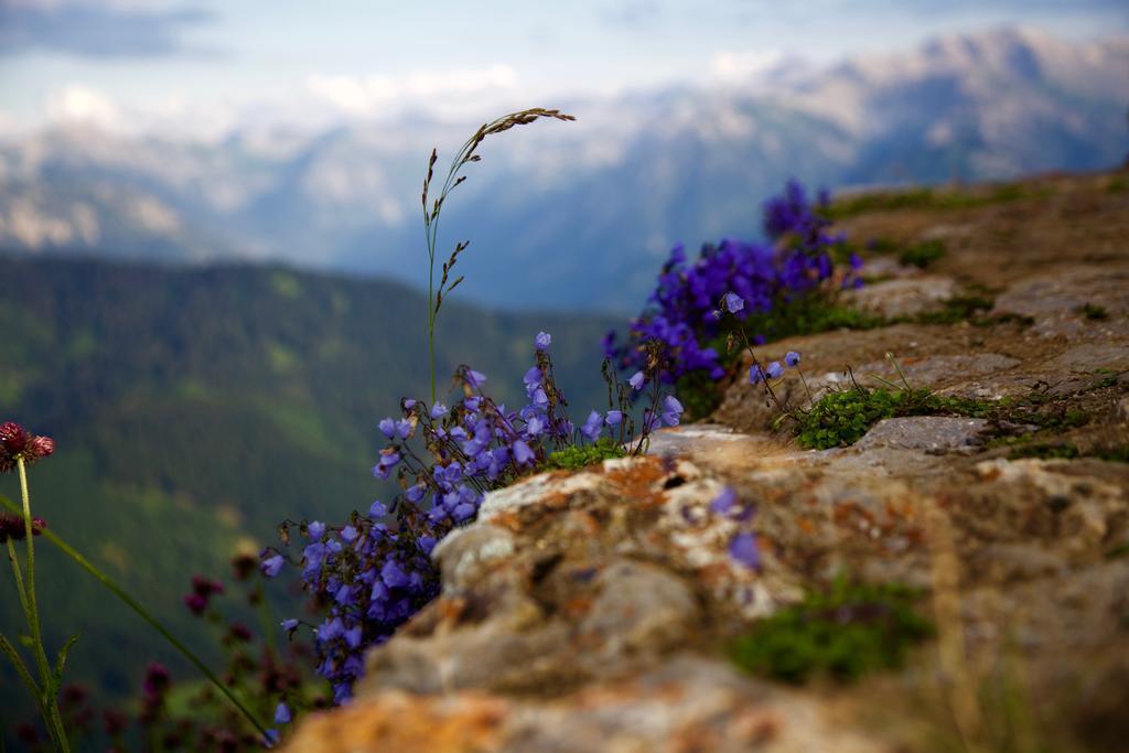 Landhotel Gruben Oberstdorf Luaran gambar