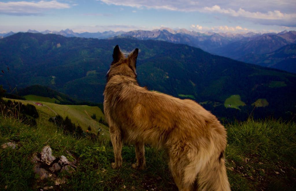Landhotel Gruben Oberstdorf Luaran gambar
